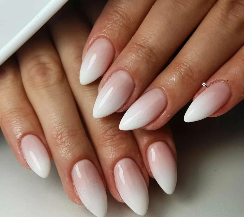 Скриншот 04-11-2025 202447.jpg