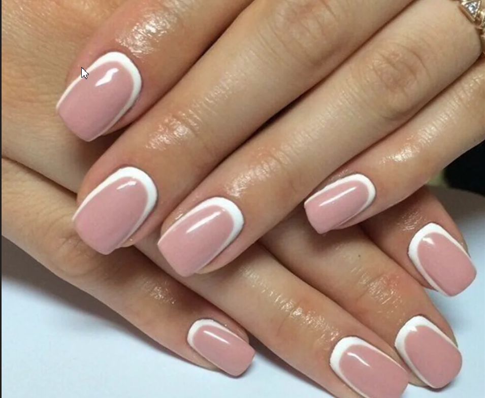 Скриншот 04-11-2025 083312.jpg