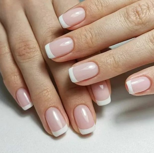 Скриншот 04-11-2025 083508.jpg